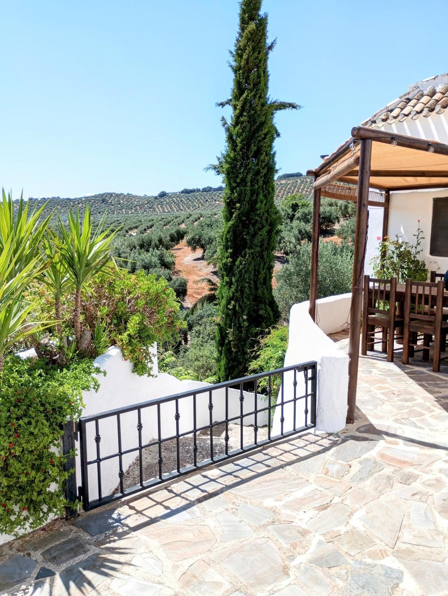 הוילה גרנדה Casa Miguel Montefrio מראה חיצוני תמונה