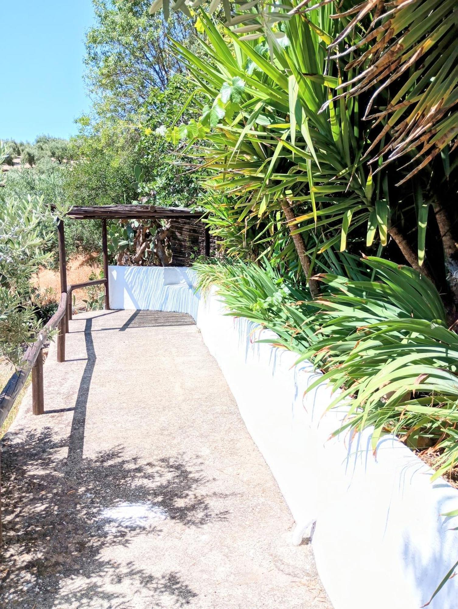 הוילה גרנדה Casa Miguel Montefrio מראה חיצוני תמונה